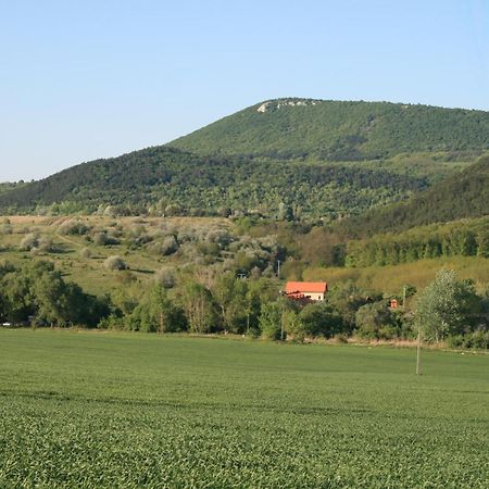 Malomdulo Farmhaz Guest House Pilisborosjeno Bagian luar foto