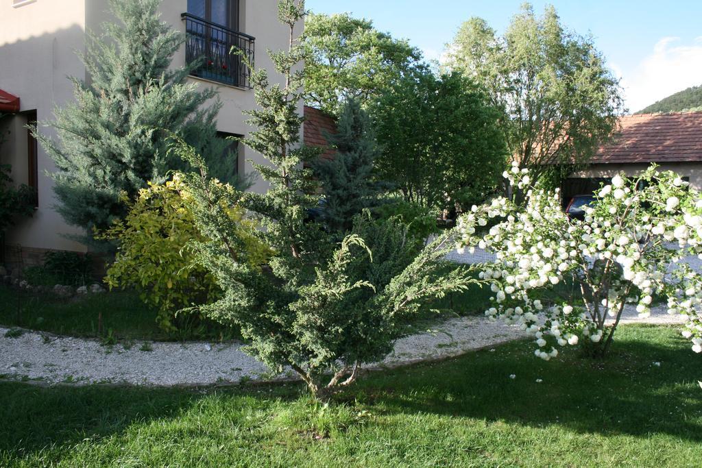Malomdulo Farmhaz Guest House Pilisborosjeno Bagian luar foto