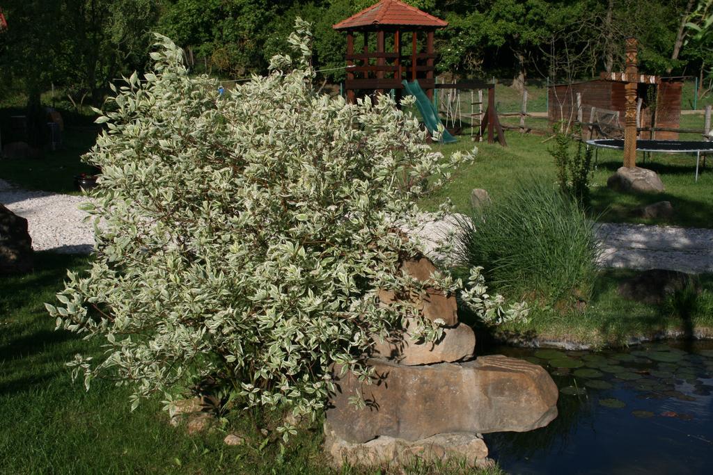 Malomdulo Farmhaz Guest House Pilisborosjeno Bagian luar foto