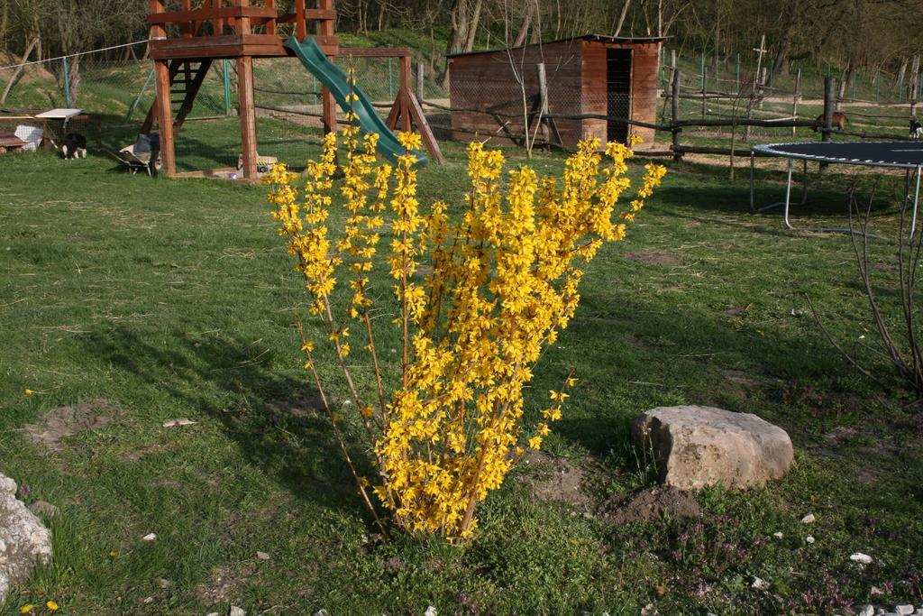 Malomdulo Farmhaz Guest House Pilisborosjeno Bagian luar foto