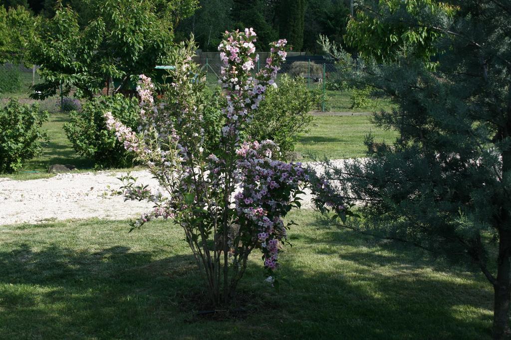 Malomdulo Farmhaz Guest House Pilisborosjeno Bagian luar foto